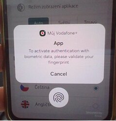WIN_20251008_08_37_53_Pro.jpg