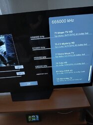 t4.jpg